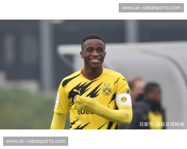 荷甲H5：一场把荷兰足球装进口袋的革命